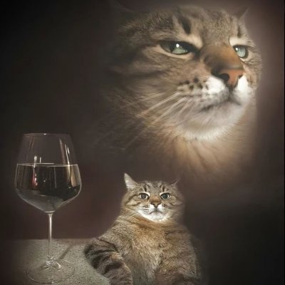 bandit's X profile picture