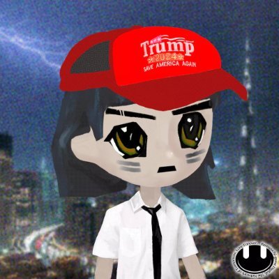 narc's X profile picture