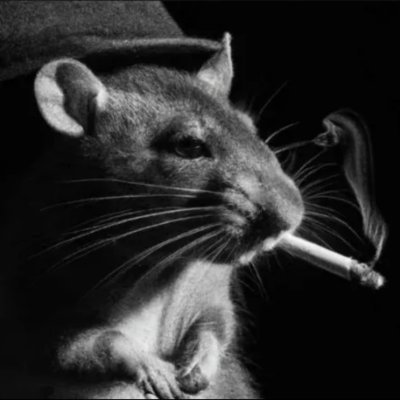 Pavlo's X profile picture
